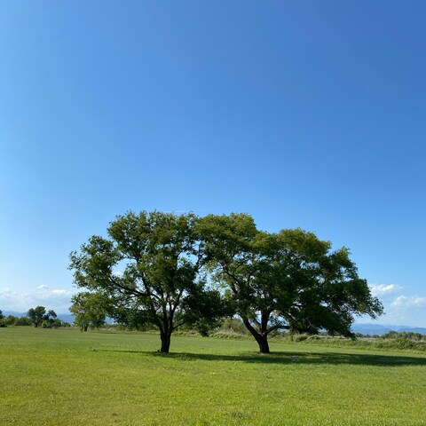 河川敷