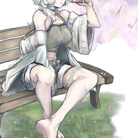 1枚絵