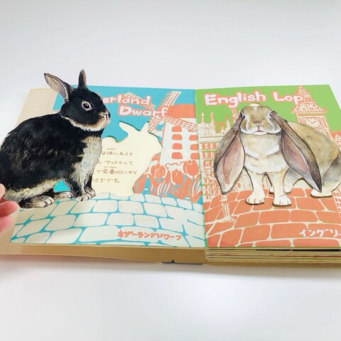 うさぎのバブルブック