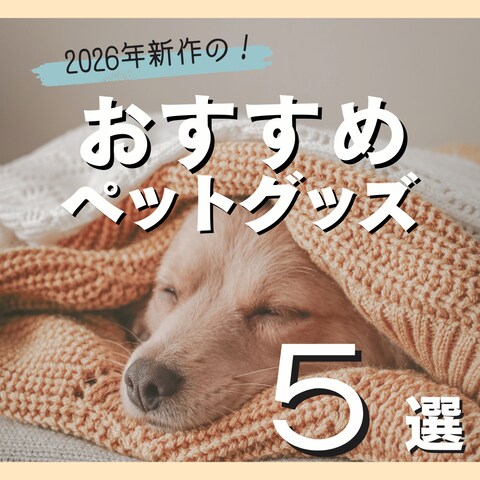 ペットグッズの紹介