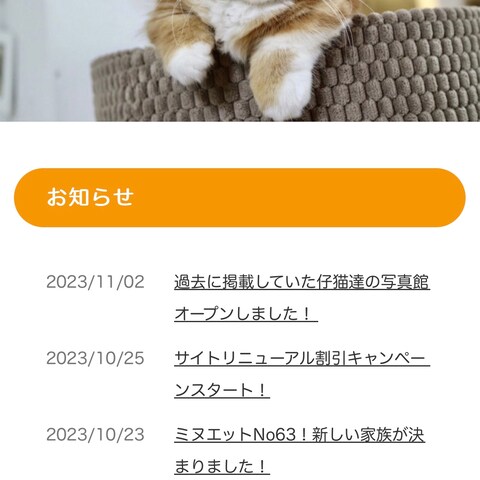 仔猫ブリーダー様のオフィシャルサイト制作
