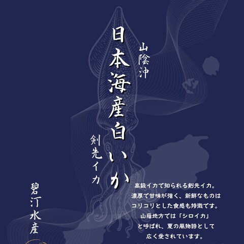 碧汀水産 様　チラシ
