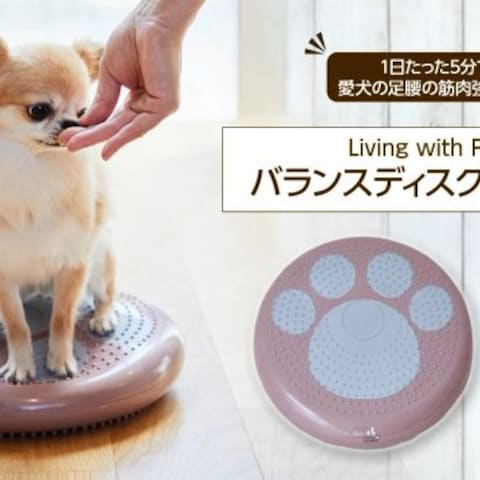ペット用品PR動画