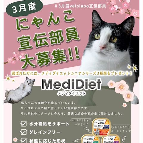 キャンペーン訴求バナー