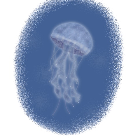 イラスト制作