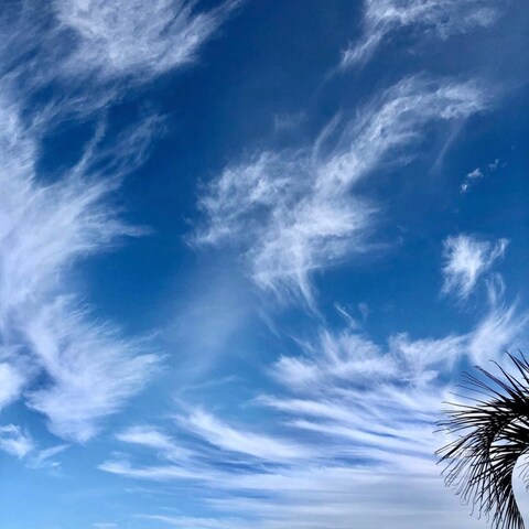 青い空白い雲
