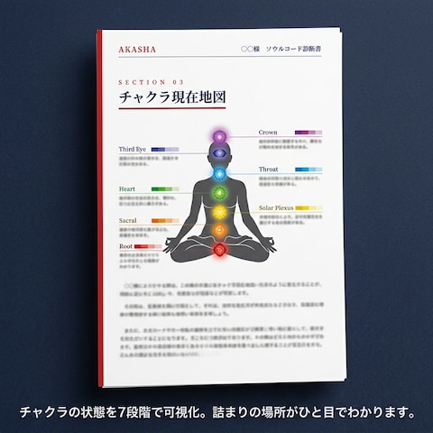 チャクラ現在地図 診断サンプル
