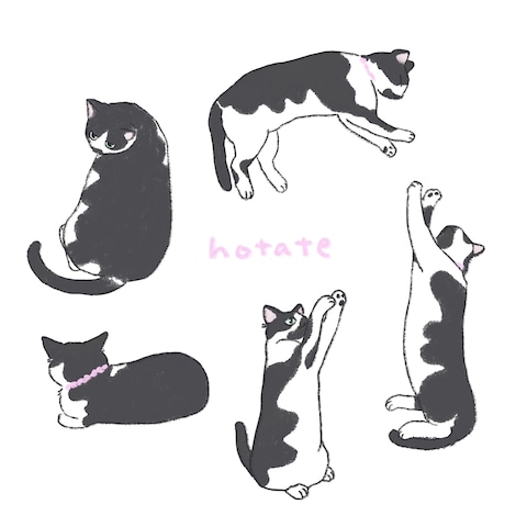 猫イラスト