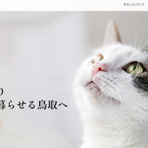 保護猫支援サイト|WordPress制作+SEO設計