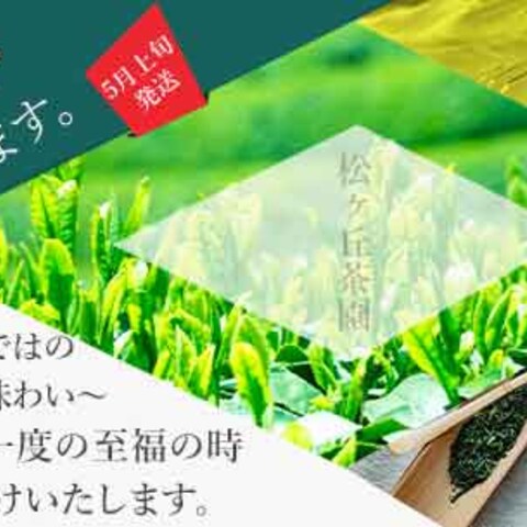 新茶バナー