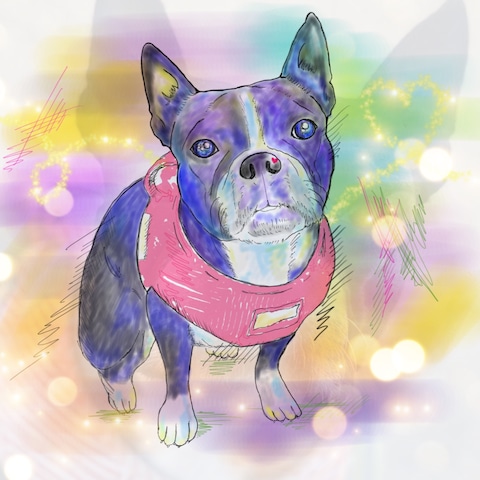 ペットイラスト