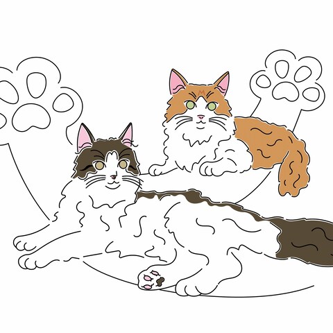オーダー分