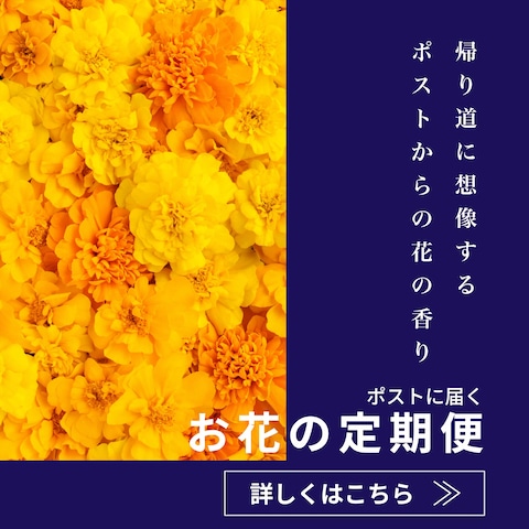 【クライアントワーク】お花の定期便サービス③