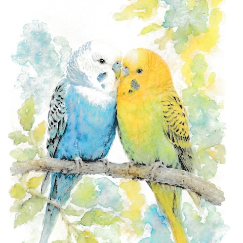 寄り添うセキセイインコ
