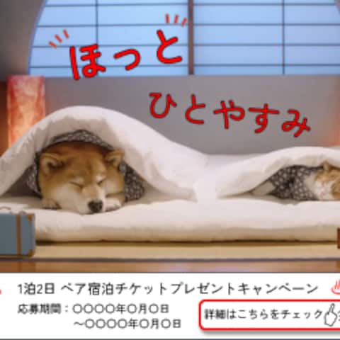 キャンペーンバナー