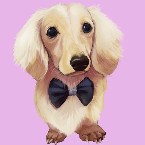 愛犬イラスト