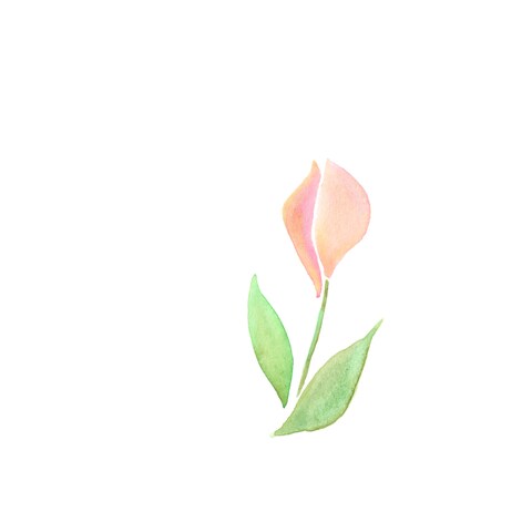 チューリップ✳︎アイテムイラスト✳︎