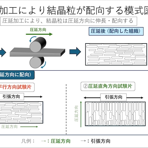 研究内容を分かりやすく伝える模式図