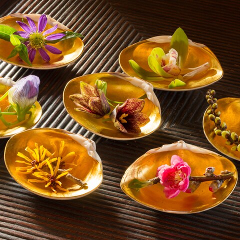 花の競演