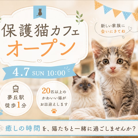 保護猫カフェのバナー