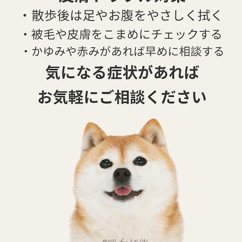 ペットサロン向けSNS投稿デザイン