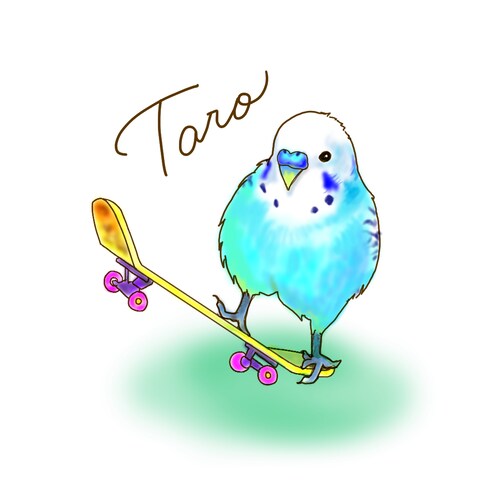 インコちゃん