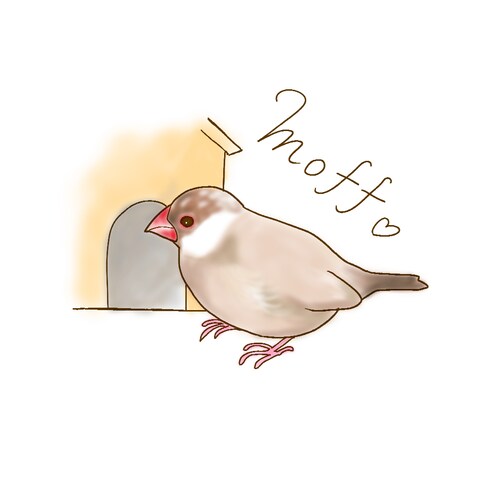 シナモン文鳥さん