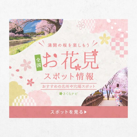 バナー:お花見スポット情報