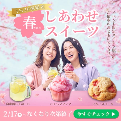 春限定のスイーツ販売(広告バナー)