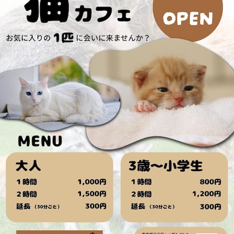 ［架空広告バナー］猫カフェ New open広告