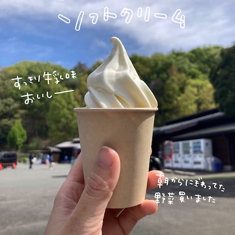 インスタ投稿用写真