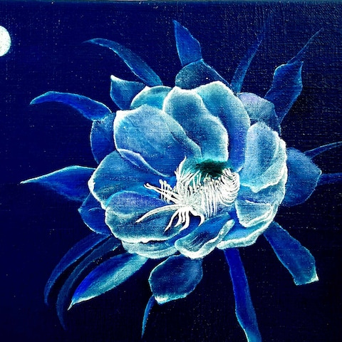 作品油絵【月下美人】