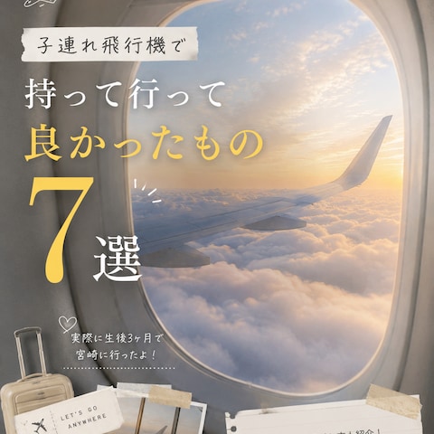 子連れ飛行機で持っていって良かったもの7選