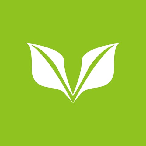 V Leaves