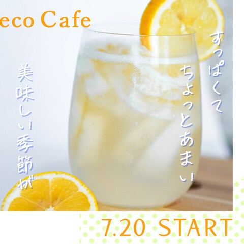 【SNS向け】Cafe夏の新メニュー広告