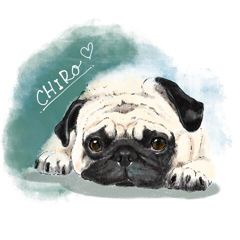 サンプル　パグのイラスト