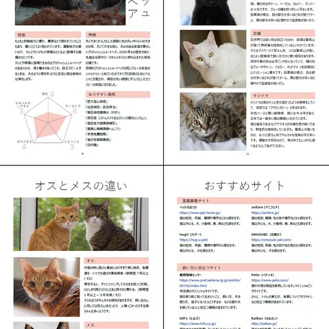雑誌のデザイン 猫モチーフ