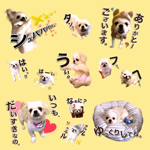ペタのスタンプ2