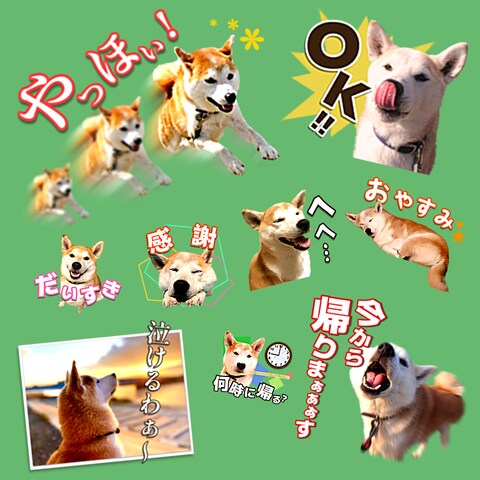 侘助くんスタンプその2