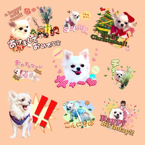 ここちゃんスタンプその2