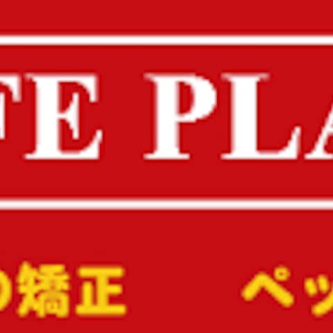 ドッグライフプランナーズ 福岡校のホームページ作成