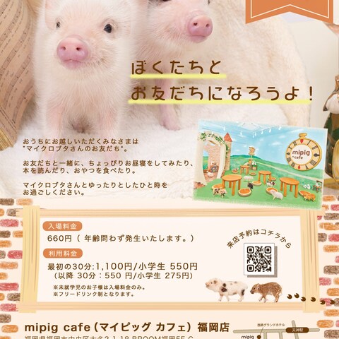 自主制作 【mipig cafe案内チラシ】