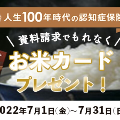 自主制作【資料請求訴求プレゼント企画バナー】