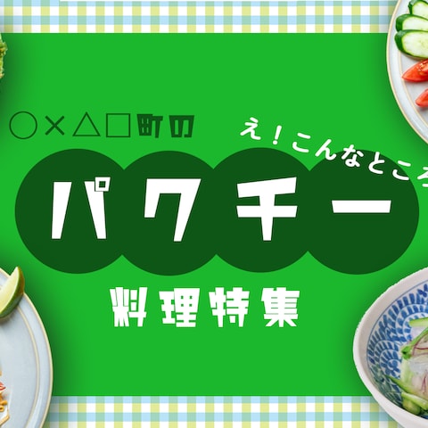 自主制作【パクチー料理特集】