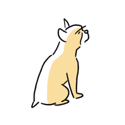 犬