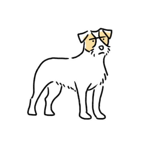 犬