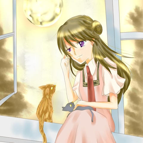 猫と月