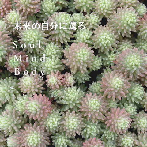自分に還る