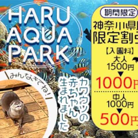 【練習制作】水族館広告バナー