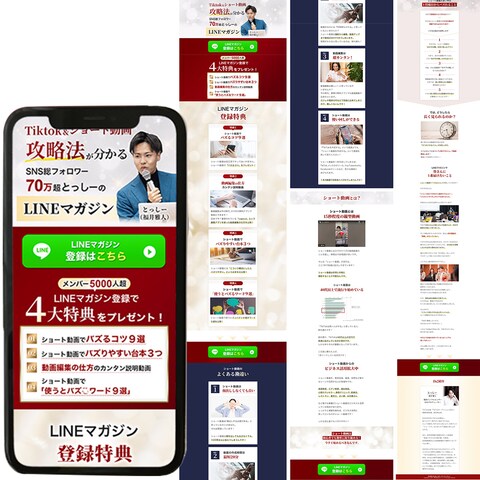 SNS塾のオプトLP